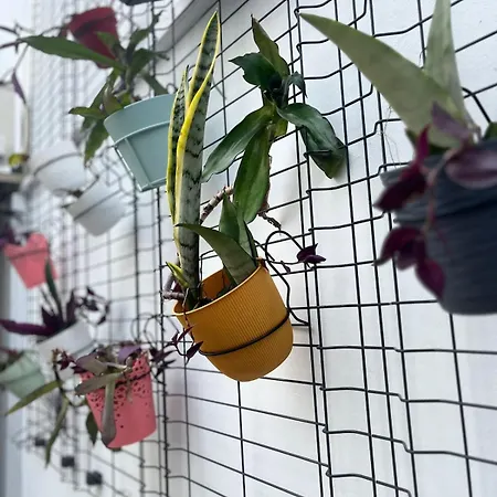 Portas - Large - Center Apartmán