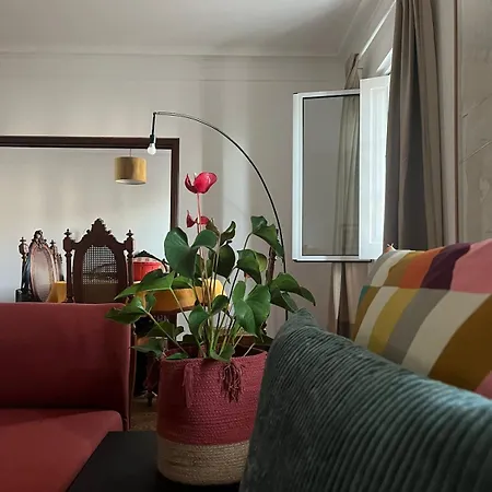 Portas - Large - Center Apartment Ponta Delgada (Sao Miguel)