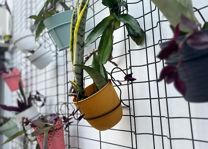 Portas - Large - Center Διαμέρισμα